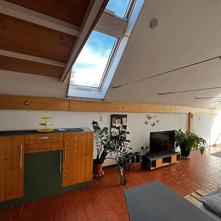 Bonito - Historischer Streckhof Schuetzen am Gebirge Luaran gambar