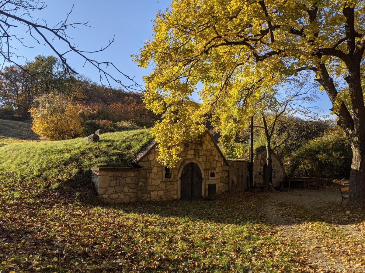 Bonito - Historischer Streckhof Villa Schuetzen am Gebirge Luaran gambar